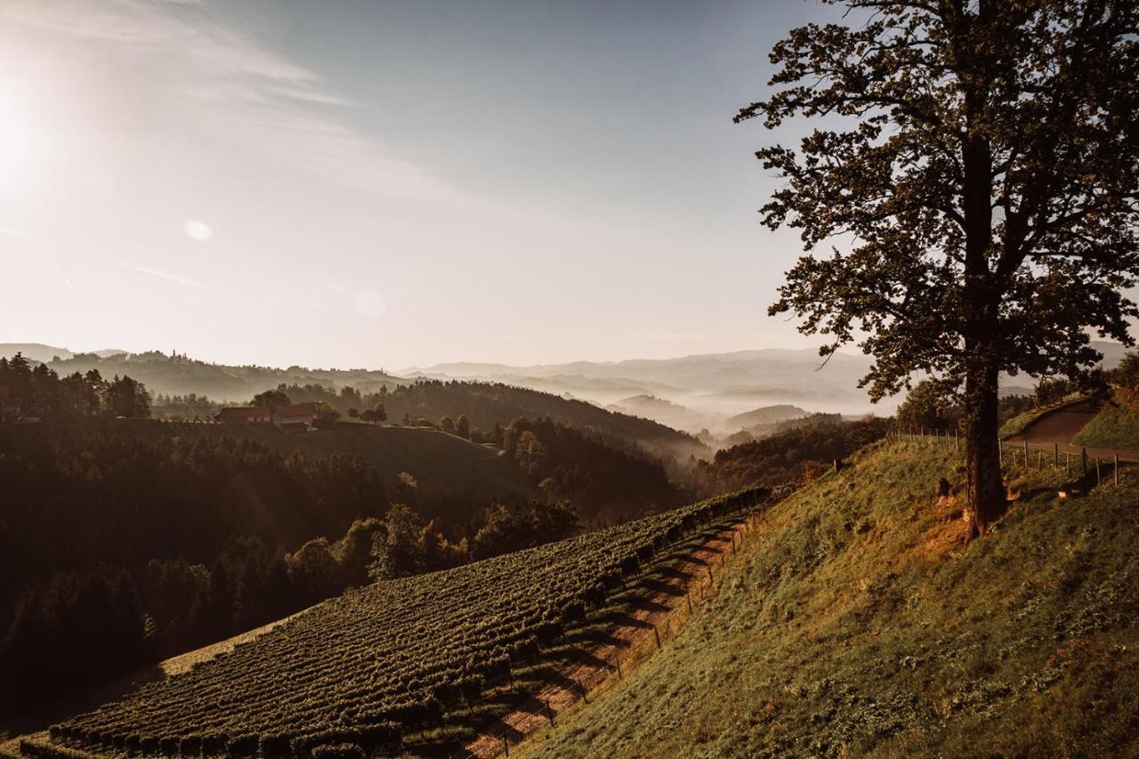 Weingut Kollerhof Am Eichberg Villa Leutschach Luaran gambar