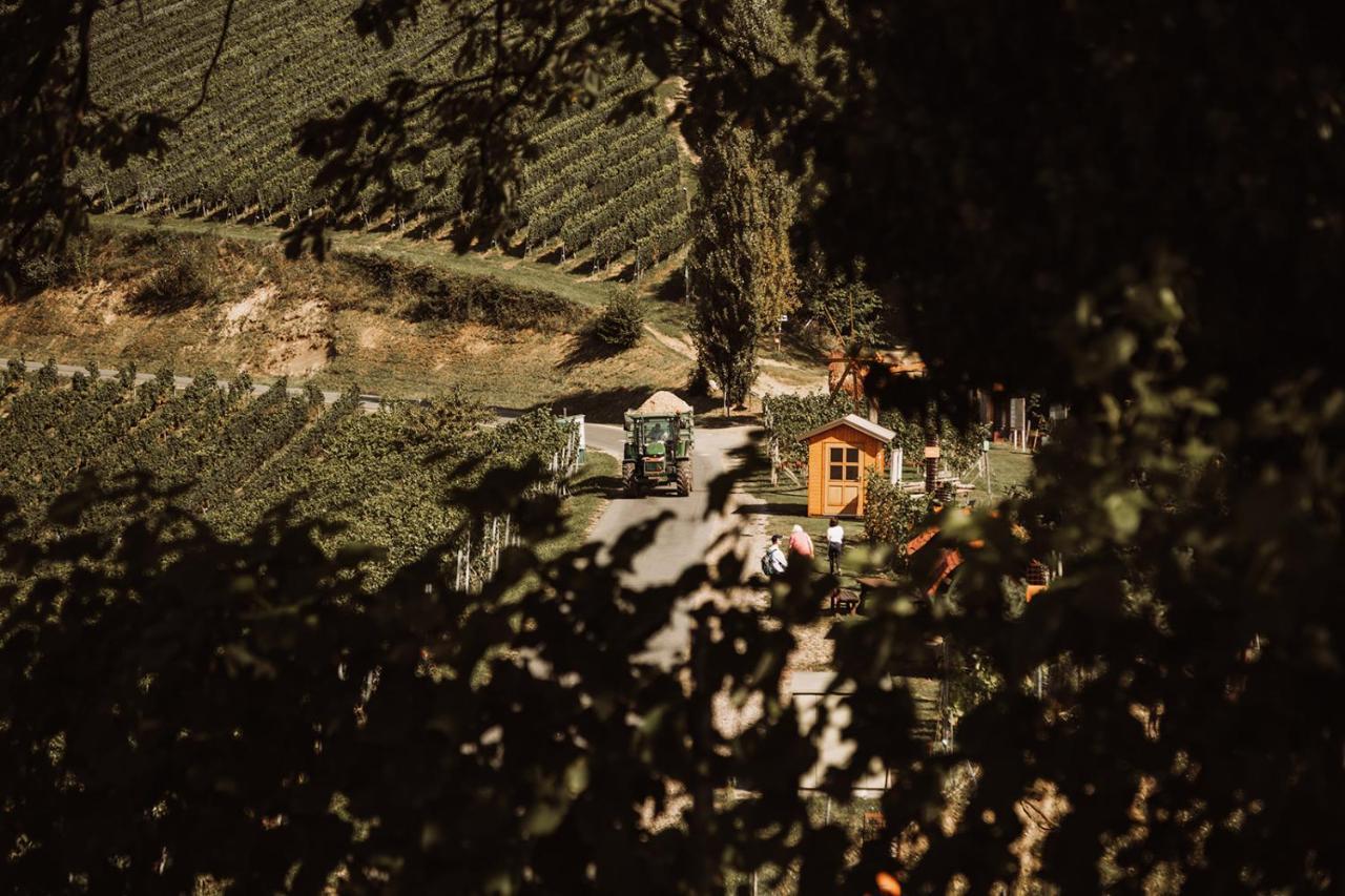 Weingut Kollerhof Am Eichberg Villa Leutschach Luaran gambar